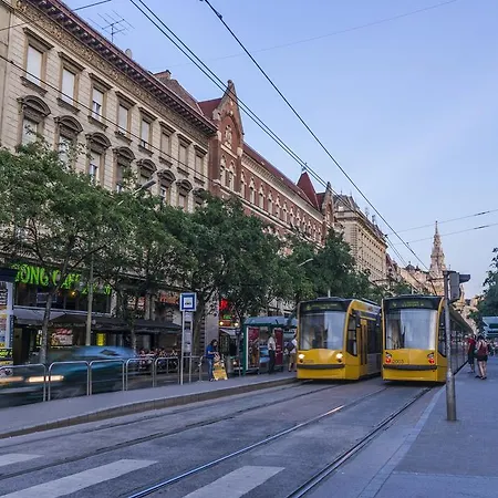 The Tailors' Daire *