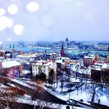 Daire The Tailors' *